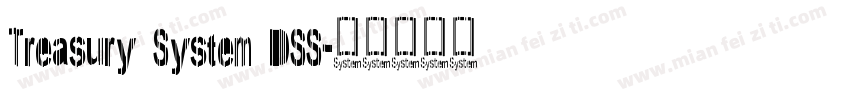 Treasury System DSS字体转换